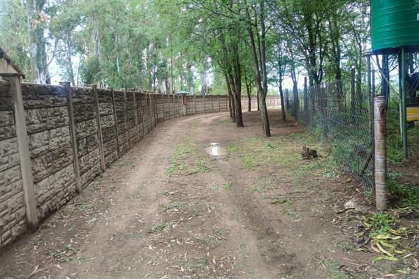 3 Bedroom Property for Sale in Weltevrede Free State